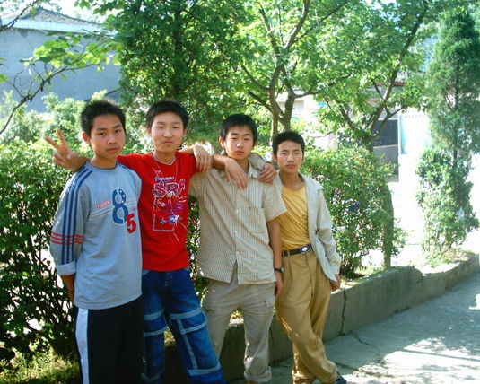 2006  (20)